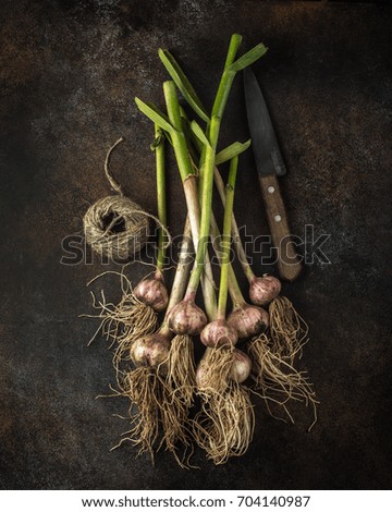 Similar – Image, Stock Photo bunch of fresh young garlic