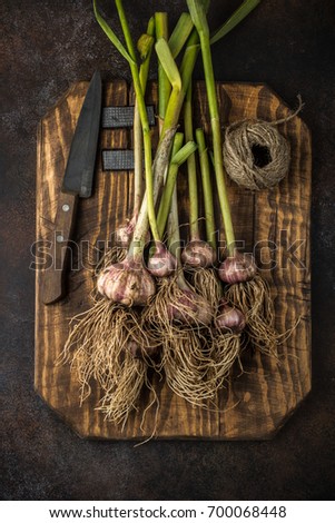 Similar – Image, Stock Photo bunch of fresh young garlic