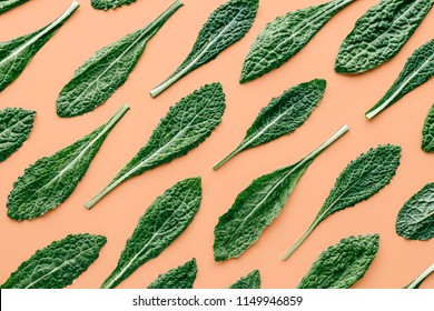 Fresh organic green kale leaves pattern on a pastel peach background, flat lay healthy nutrition concept