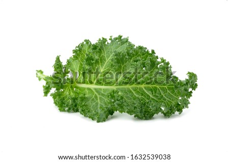 Fresh organic green kale vegetable isolated on white background
