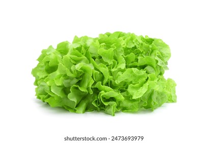 Fresh organic green lettuce isolated on white background - Powered by Shutterstock