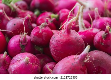 Fresh organic green radish on fresh market,  background. radish texture . A lot of organic radish  root - Shutterstock ID 2121723353