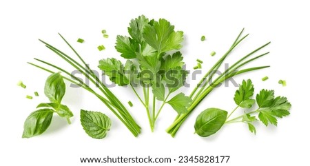 Fresh organic herbs and spices element or ornament isolated over a white background, arranged bunches, leaves and blades and chopped pieces of parsley, chives, basil and mint, top view, flat lay
