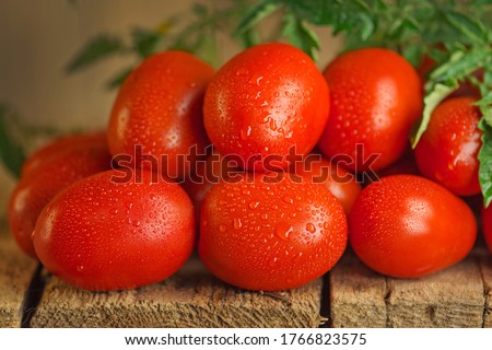 Fresh organic juicy Roma tomatoes. Fresh ripe delicious Roma tomatoes on wooden background