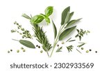 Fresh organic Mediterranean herbs and spices elements isolated over a white background, sage, rosemary twig and leaves, thyme, oregano, basil, green and black pepper, top view, flat lay