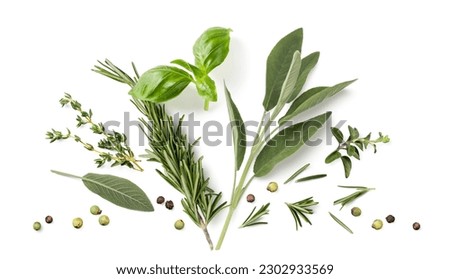 Fresh organic Mediterranean herbs and spices elements isolated over a white background, sage, rosemary twig and leaves, thyme, oregano, basil, green and black pepper, top view, flat lay