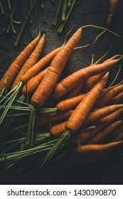 Fresh Organic Nantes Carrots On Dark Background. Healthy Food.