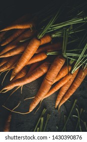 Fresh Organic Nantes Carrots On Dark Background. Healthy Food.