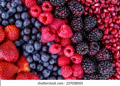 Fresh organic pomegranate seeds, blackberries, raspberries, blueberries and strawberries in lines next to each other - Powered by Shutterstock