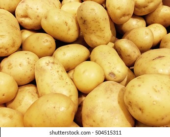 Fresh organic potato stand out among many large background potatos in the market. Heap of potatos root. Close-up potatos texture. Macro potato.
























































