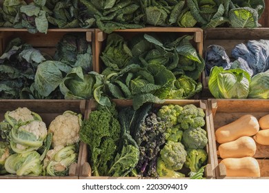 Fresh, organic, produce of green leafy vegetables, and butternut squash on display at an outdoor rural country farmer's market in Scotland, UK. - Powered by Shutterstock