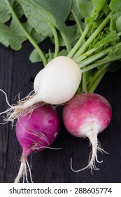 Fresh Organic Radish Crop Harvested Closeup Mix Variety Daikon And Easter Egg Radish