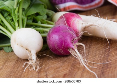 Fresh Organic Radish Crop Harvested Closeup Mix Variety Daikon And Easter Egg Radish