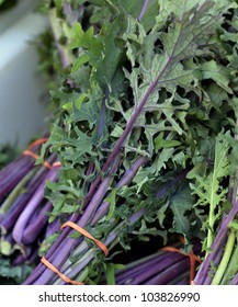 Fresh Organic Red Kale