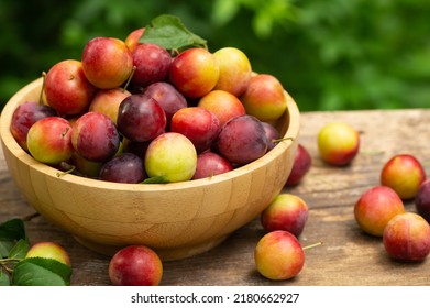 Fresh organic red plums in bowl on wooden table in the garden, summur fruit - Powered by Shutterstock