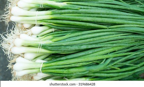 Fresh Organic Spring Onion on the Marketplace
