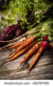 Fresh organic vegetables - Shutterstock ID 450787900