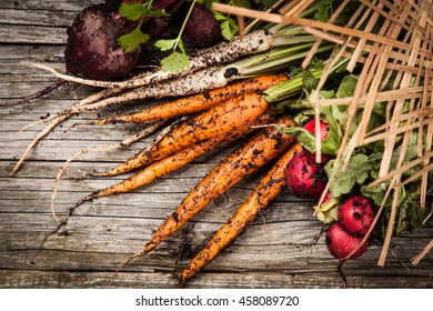 Fresh organic vegetables - Shutterstock ID 458089720