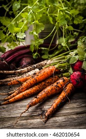 Fresh organic vegetables - Shutterstock ID 462010654