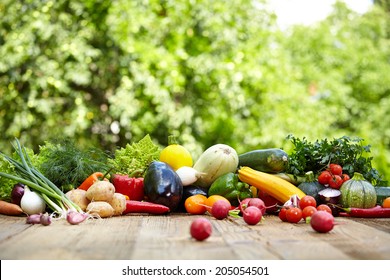 Fresh organic vegetables ane fruits on wood table  in the garden 