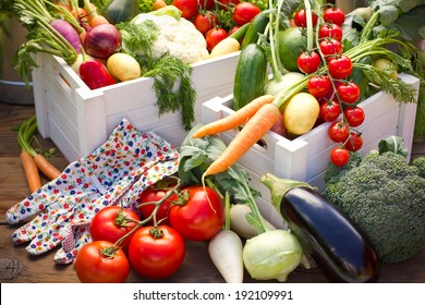 Fresh and organic vegetables in the garden