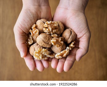 Fresh Organic Walnuts In Your Hand