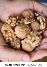 Fresh organic walnuts in your hand