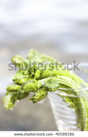 Similar – Image, Stock Photo asparagus Colour photo