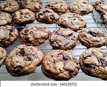 Fresh Out Of The Oven, Batch Of Chewy Chocolate Chip Sea Salt Cookies