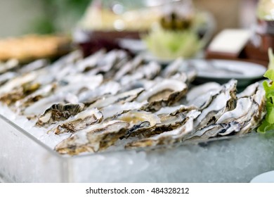 Fresh Oyster Bar For Cocktail Food