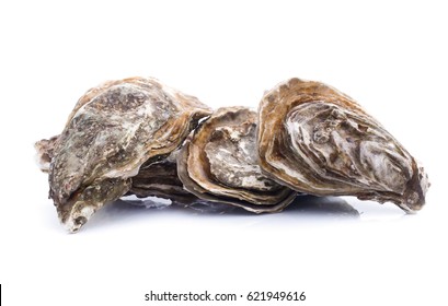 120,781 Fresh oyster Images, Stock Photos & Vectors | Shutterstock