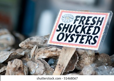 Fresh Oysters Caught In The Chesapeake Bay