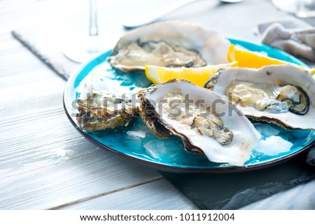 Fresh Oysters close-up on blue plate, served table with oysters, lemon and ice. Healthy sea food. Fresh Oyster dinner in restaurant. Gourmet food.
