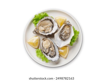 Fresh oysters with lemon on plate. Flat lay isolated on white background - Powered by Shutterstock