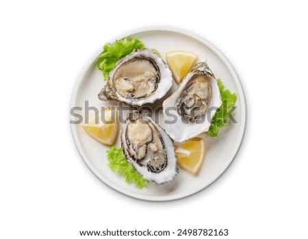 Fresh oysters with lemon on plate. Flat lay isolated on white background