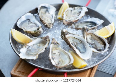 Fresh oysters with lemon's slices in ice. Restaurant delicacy. Saltwater oysters dish.