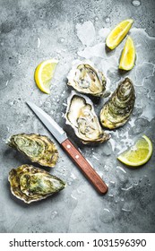 Fresh Oysters On Ice, Knife, Lemon Wedges. Rustic Stone Background. Opened Fresh Raw Oysters. Top View. Close-up. Oyster Bar. Seafood. Oysters Concept. Party Food. From Above. Expensive Seafood