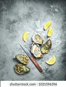 Fresh Oysters On Ice, Knife, Lemon Wedges. Rustic Stone Background. Opened Fresh Raw Oysters. Top View. Copy Space. Oyster Bar. Seafood. Oysters Concept. Party Food. Space For Text. From Above 