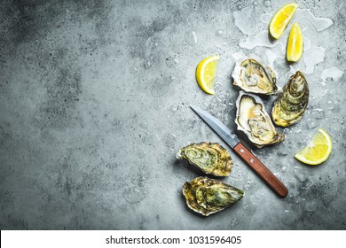 Fresh Oysters On Ice, Knife, Lemon Wedges. Rustic Stone Background. Opened Fresh Raw Oysters. Top View. Copy Space. Oyster Bar. Seafood. Oysters Concept. Party Food. Space For Text. From Above 