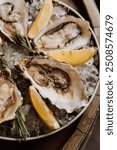 Fresh oysters on ice served with lemon wedges and rosemary, perfect for gourmet seafood lovers