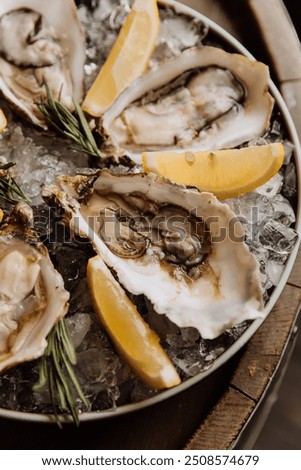 Fresh oysters on ice served with lemon wedges and rosemary, perfect for gourmet seafood lovers