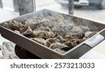 Fresh oysters placed in a hot steamer, steamed for about 20 minutes until fully cooked