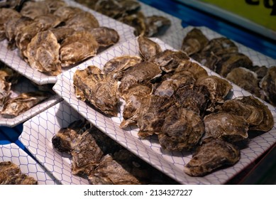 Fresh Oysters For Sale In Containers At An Asian Wet Market And Supermarket. 