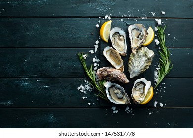 Fresh Oysters. Seafood. Top view. On a black background. Free copy space.