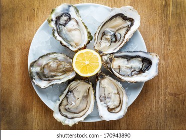 Fresh oysters in a white plate with ice and lemon on a wooden desk