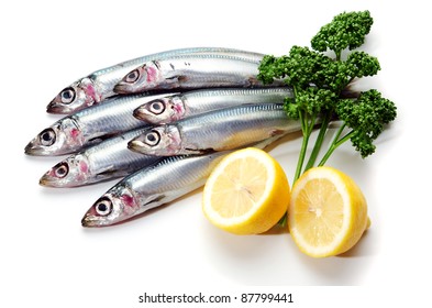 Fresh Pacific Round Herring