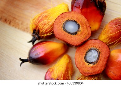 fresh palm oil