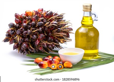 Fresh palm oil fruits and cooking in glass bottles Palm oil on a palm leaves isolated on the white background.