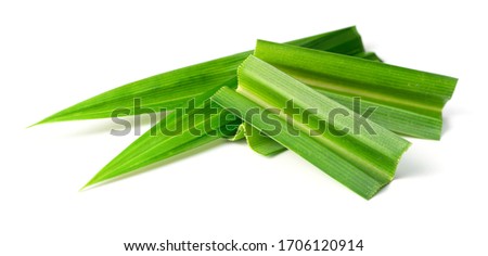 fresh pandan leaf sections isolated on the white background