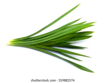 Fresh Pandan leaves isolated on white background - Shutterstock ID 319882574